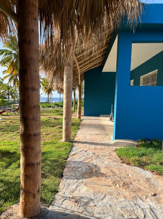 Gecko Azul Apartment Las Galeras Exterior photo